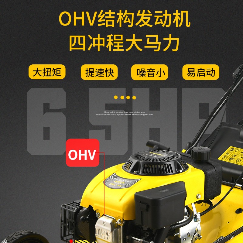 出口四冲程汽油草坪机 20寸自走式打草机园林除草机 手推式割草机图2