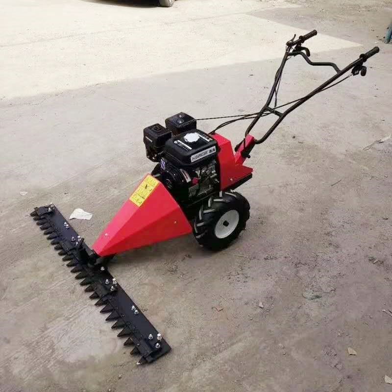 小型手推式汽油剪草机 柴油电启动割草机草坪修剪果园杂草除草机图2