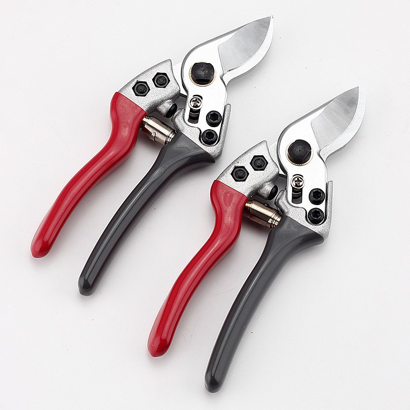 修枝剪果树剪枝修剪树枝花剪园艺园林强力剪树枝花艺家用修花剪刀图1