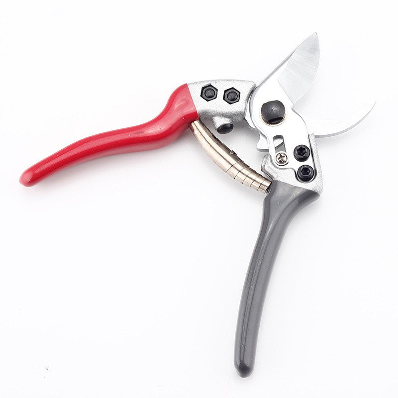 修枝剪果树剪枝修剪树枝花剪园艺园林强力剪树枝花艺家用修花剪刀图2