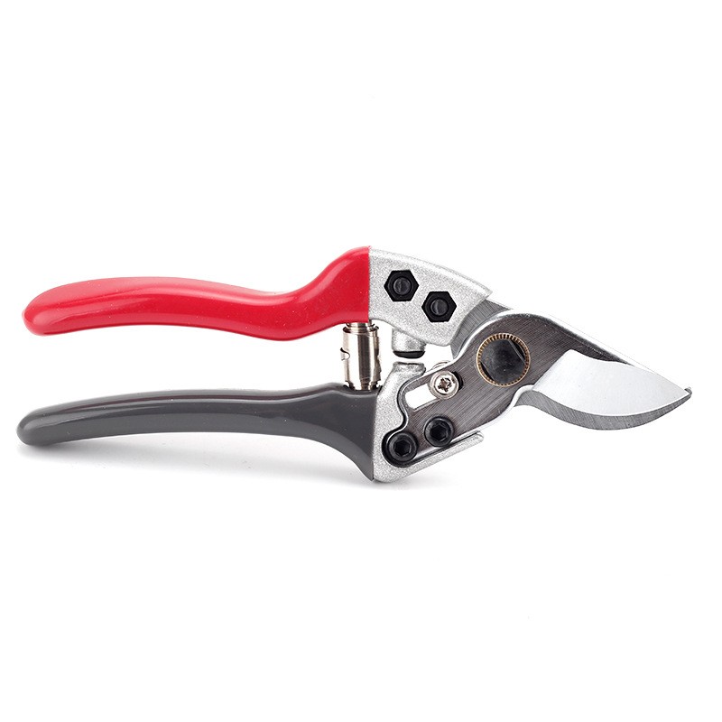 修枝剪果树剪枝修剪树枝花剪园艺园林强力剪树枝花艺家用修花剪刀图5