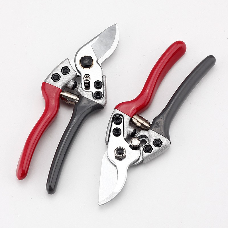 修枝剪果树剪枝修剪树枝花剪园艺园林强力剪树枝花艺家用修花剪刀图4