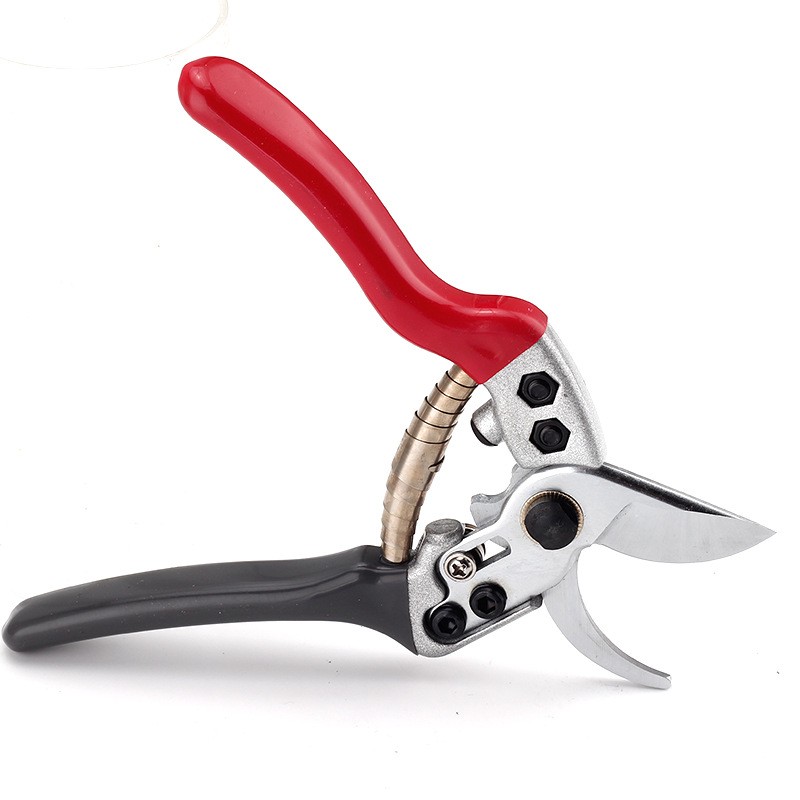 修枝剪果树剪枝修剪树枝花剪园艺园林强力剪树枝花艺家用修花剪刀图3