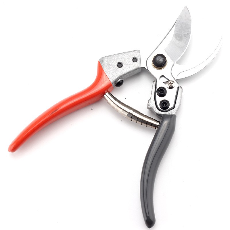 剪枝果树修枝剪刀园艺园林修花枝剪家用强力剪子神器花剪剪枝剪刀