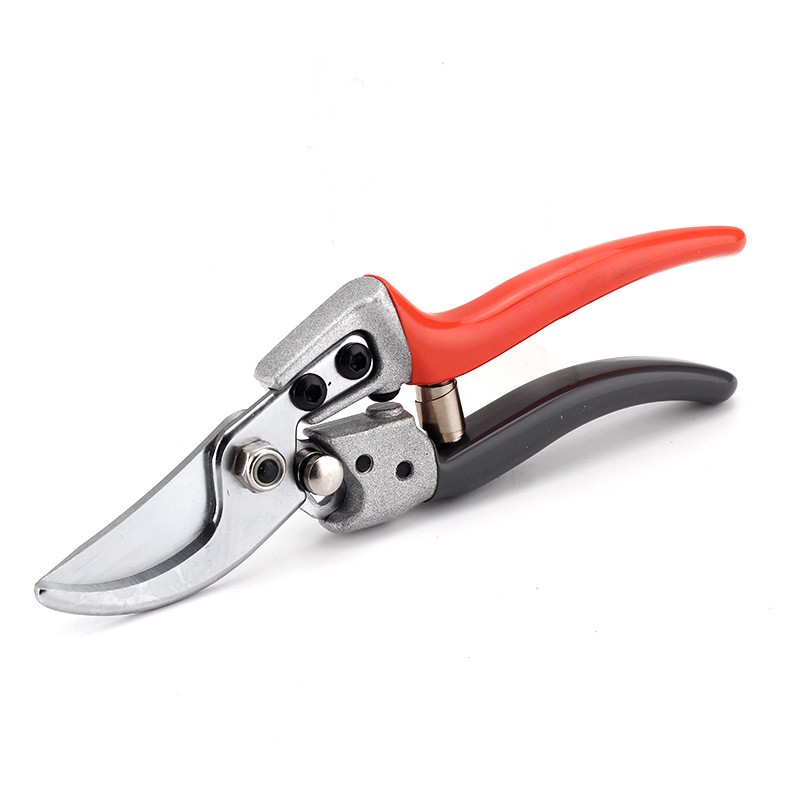 剪枝果树修枝剪刀园艺园林修花枝剪家用强力剪子神器花剪剪枝剪刀图3