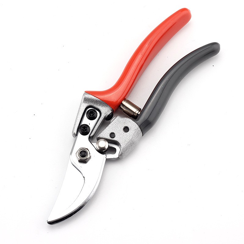剪枝果树修枝剪刀园艺园林修花枝剪家用强力剪子神器花剪剪枝剪刀图2
