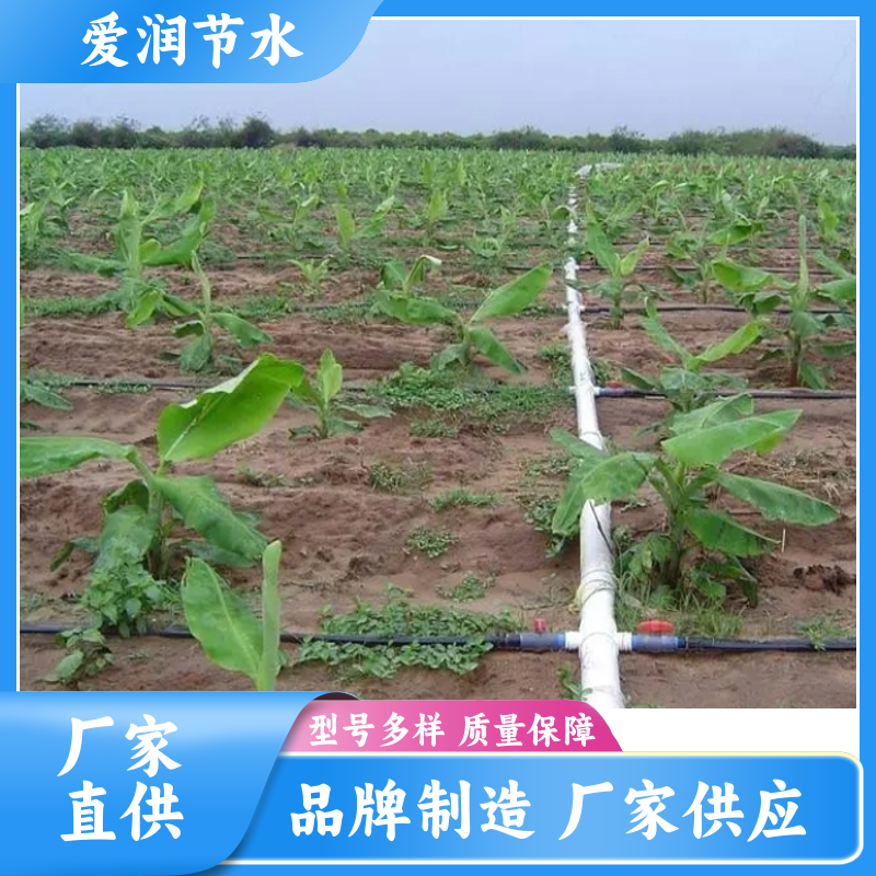 厂家供应 农用聚乙烯 微喷带 蔬菜大棚育苗 喷洒均匀 拉力好抗老化图2