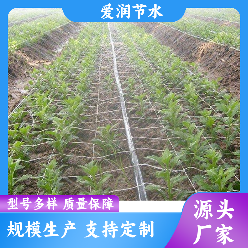 厂家供应 农用聚乙烯 微喷带 蔬菜大棚育苗 喷洒均匀 拉力好抗老化图4