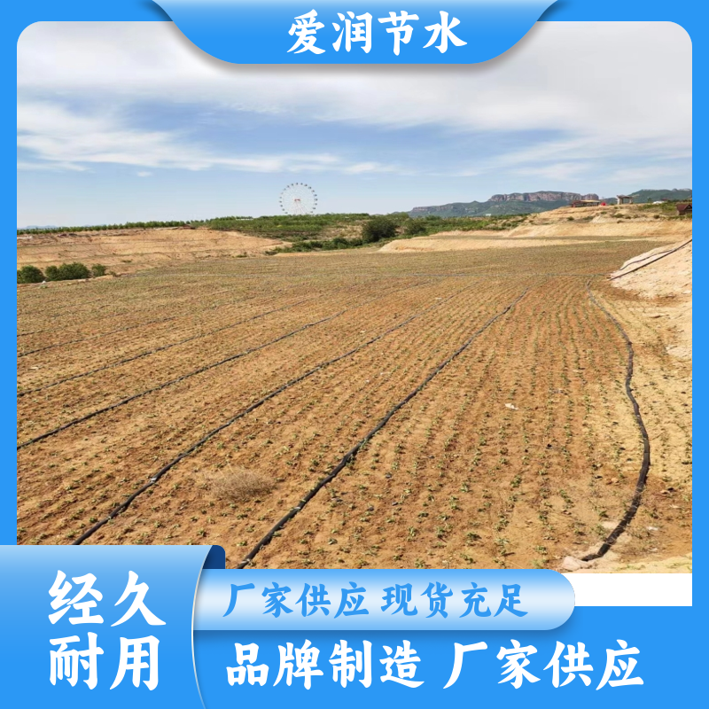 厂家供应 喷淋管喷雾软管 滴灌带 花卉果园浇水 耐磨耐用 长度定制图3