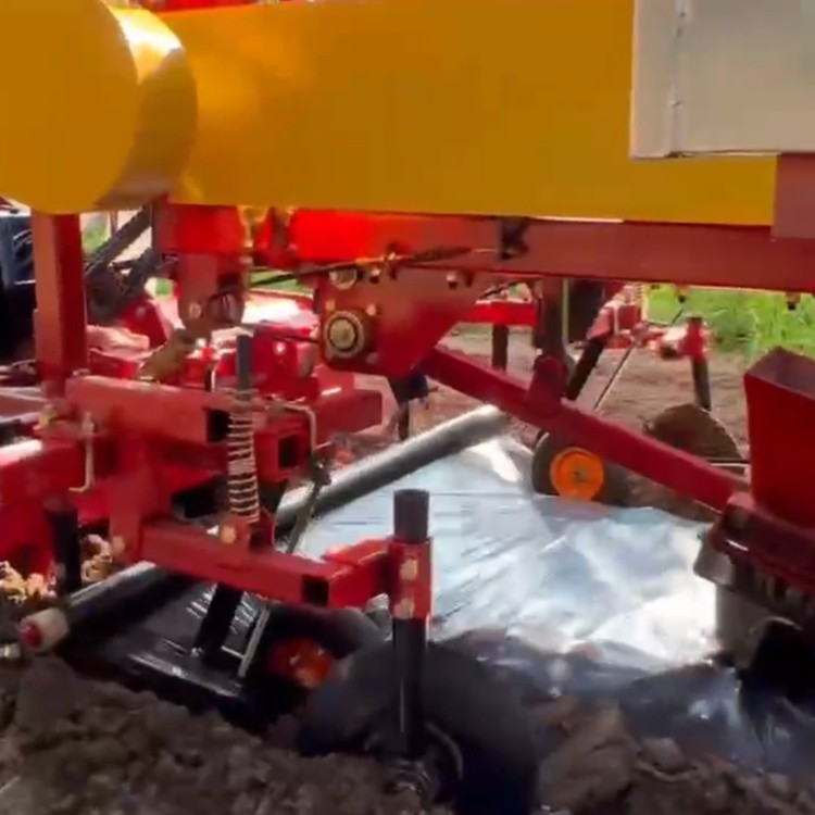 菠萝凤梨移栽机 两行栽苗机 结构紧凑合理 株距行距可调 森盈图4