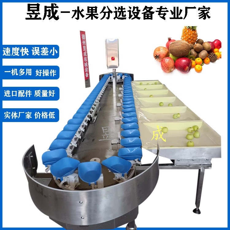 桃子柑橘清洗分选包装设备 水果分级设备 选果分级机 自动选果机图3