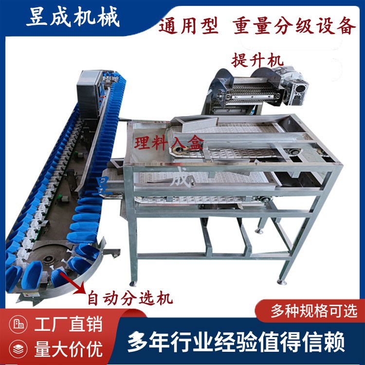 桃子柑橘清洗分选包装设备 水果分级设备 选果分级机 自动选果机图4