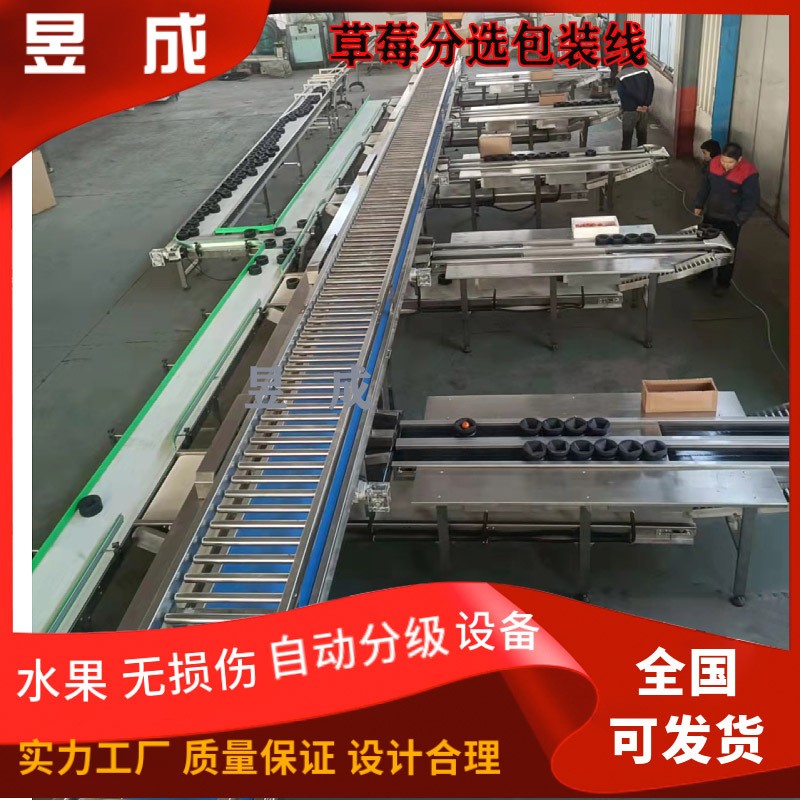 桃子柑橘清洗分选包装设备 水果分级设备 选果分级机 自动选果机图5