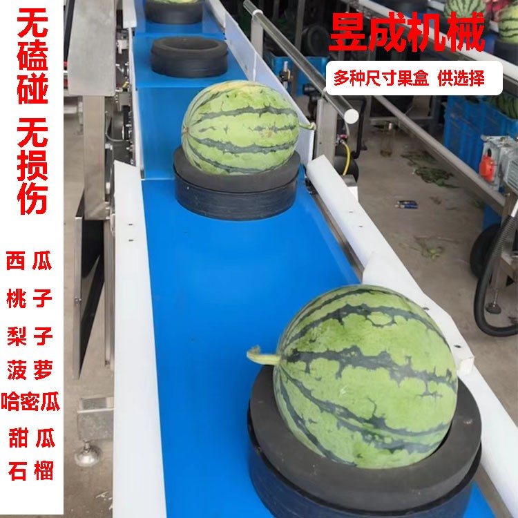重量糖度 草莓分选机 西瓜分级机 水果分选设备 自动选果机图2