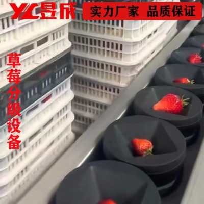 重量糖度 草莓分选机 西瓜分级机 水果分选设备 自动选果机