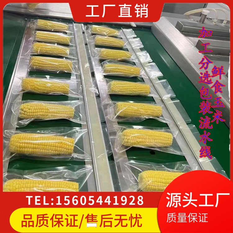鲜食玉米重量分级输送包装 鲜食玉米加工生产线 自动选果机图3