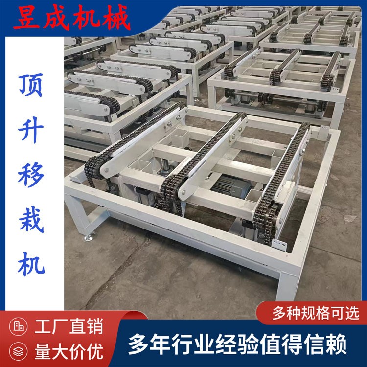 昱成定制 托盘输送线 鲜花输送线 托盘顶升移栽机 滚筒输送机图4