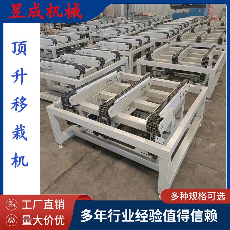 昱成定制 托盘输送线 鲜花输送线 托盘顶升移栽机 滚筒输送机图2