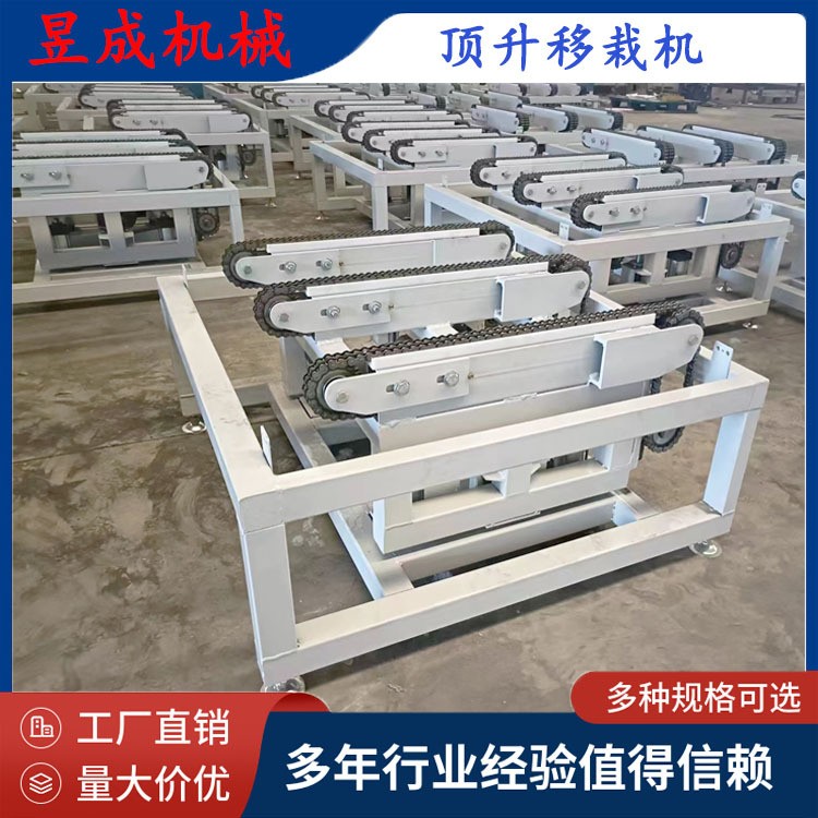 昱成定制 托盘输送线 鲜花输送线 托盘顶升移栽机 滚筒输送机图3