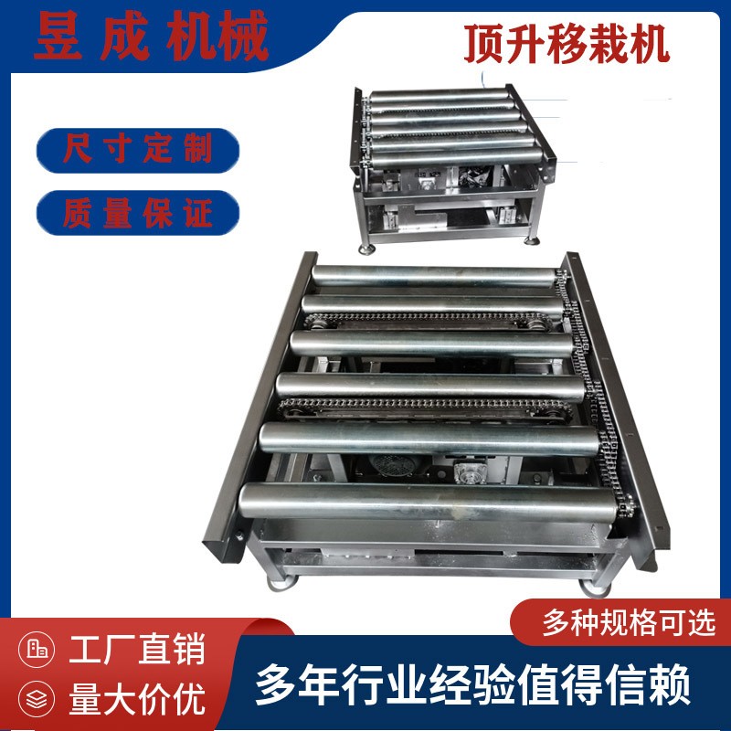 昱成定制 托盘输送线 鲜花输送线 托盘顶升移栽机 滚筒输送机图5