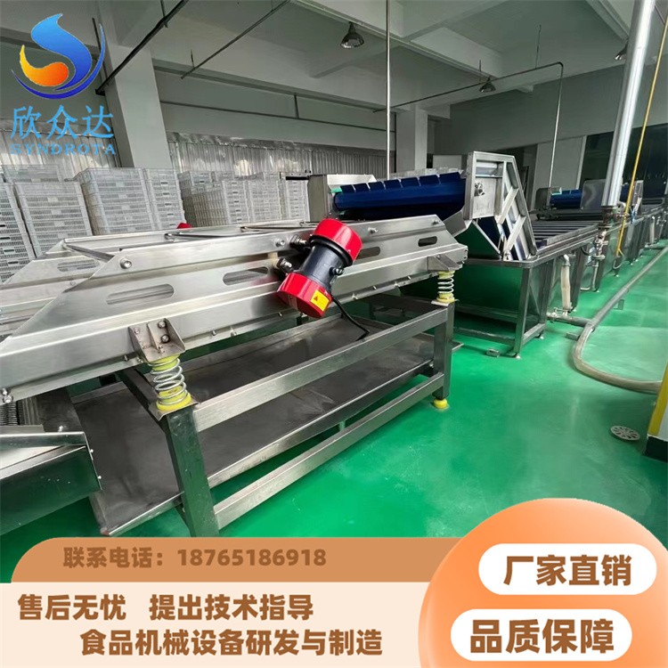 大型果蔬清洗风干流水线 多功能西葫芦清洗设备 大枣加工生产线图5