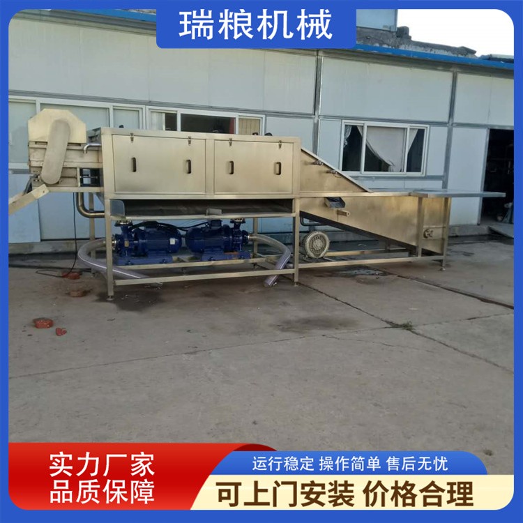 全自动大姜清洗机 自动出料鲜姜清洗设备 变频调速洗姜设备图2