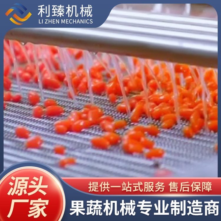 全自动 红枣枸杞酱生产线 整套 果酱加工生产线设备图3