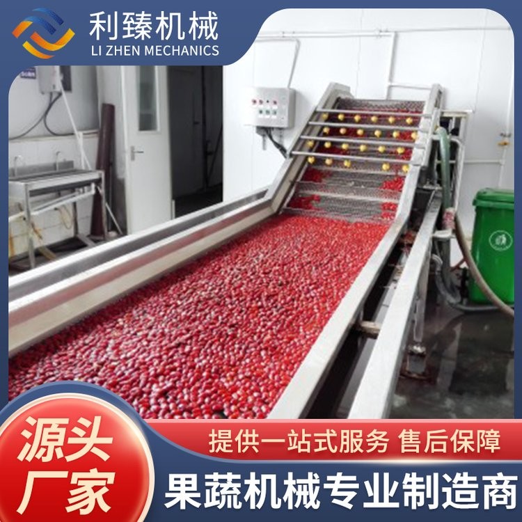全自动 红枣枸杞酱生产线 整套 果酱加工生产线设备图4