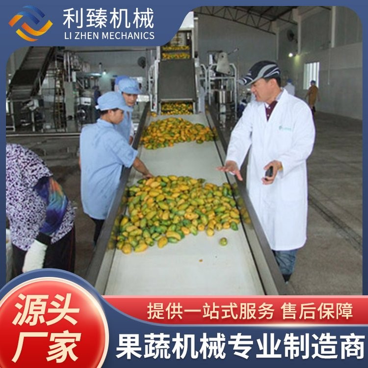 利臻机械 芒果酱生产线 巴氏杀菌 设计合理美观 运行稳定图2