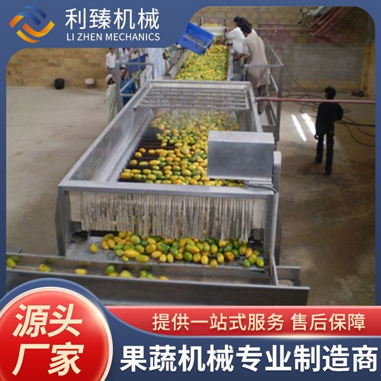 利臻机械 芒果酱生产线 巴氏杀菌 设计合理美观 运行稳定图3