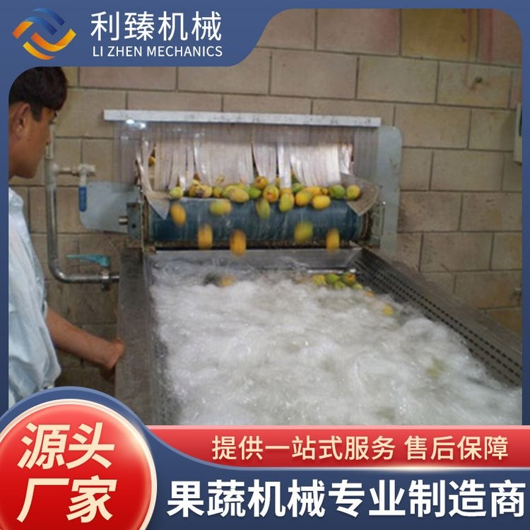利臻机械 芒果酱生产线 巴氏杀菌 设计合理美观 运行稳定图5