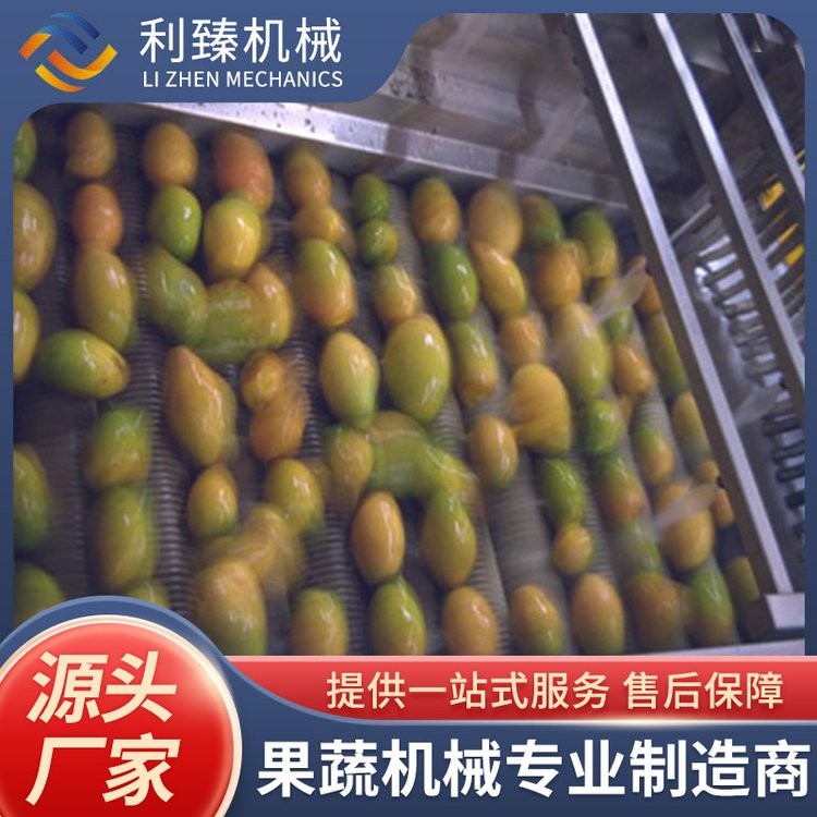 利臻机械 芒果酱生产线 巴氏杀菌 设计合理美观 运行稳定图4