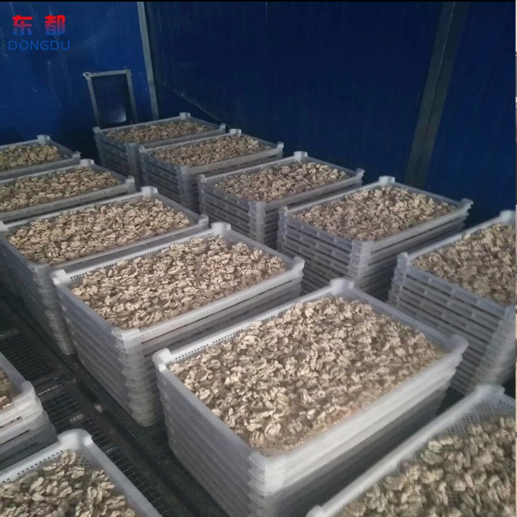 琥珀核桃脱壳设备 核桃仁清洗去皮机 东都机械图4