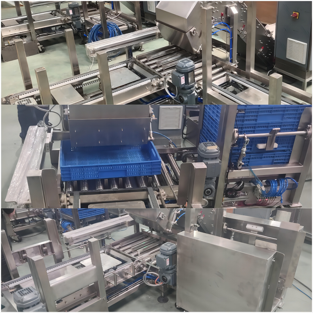 自动称重系统机械 生产线末端称重装箱设备 糖果食品加工通用装置图3