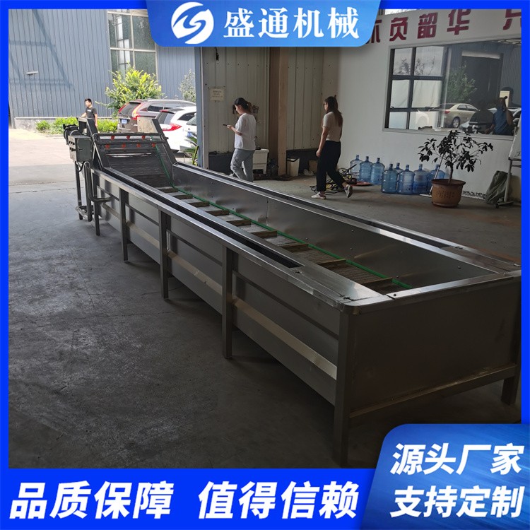 ST-2型山野菜清洗机 竹笋加工设备 预制菜加工流水线盛通生产图5