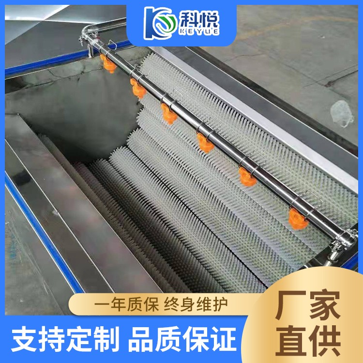 毛辊清洗机 猪脚刷毛加工设备 花生抛光清洗机器 土豆清洗去皮机图1