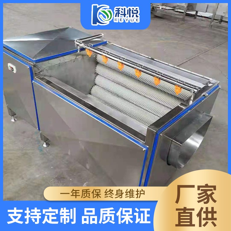 毛辊清洗机 猪脚刷毛加工设备 花生抛光清洗机器 土豆清洗去皮机图3