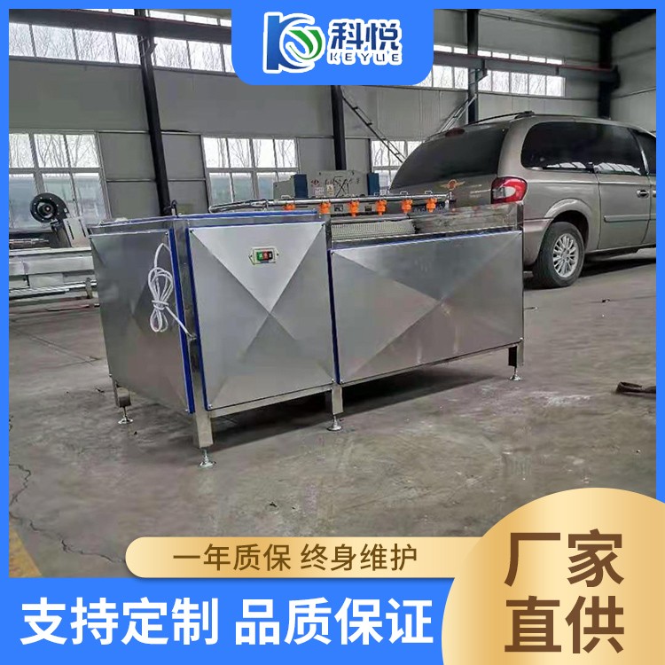 毛辊清洗机 猪脚刷毛加工设备 花生抛光清洗机器 土豆清洗去皮机图2