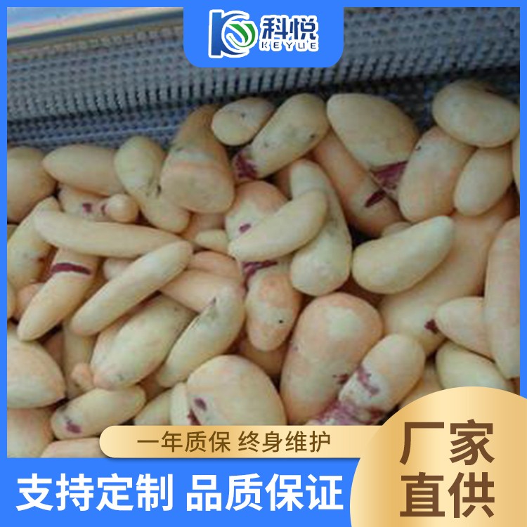 毛辊清洗机 猪脚刷毛加工设备 花生抛光清洗机器 土豆清洗去皮机图5