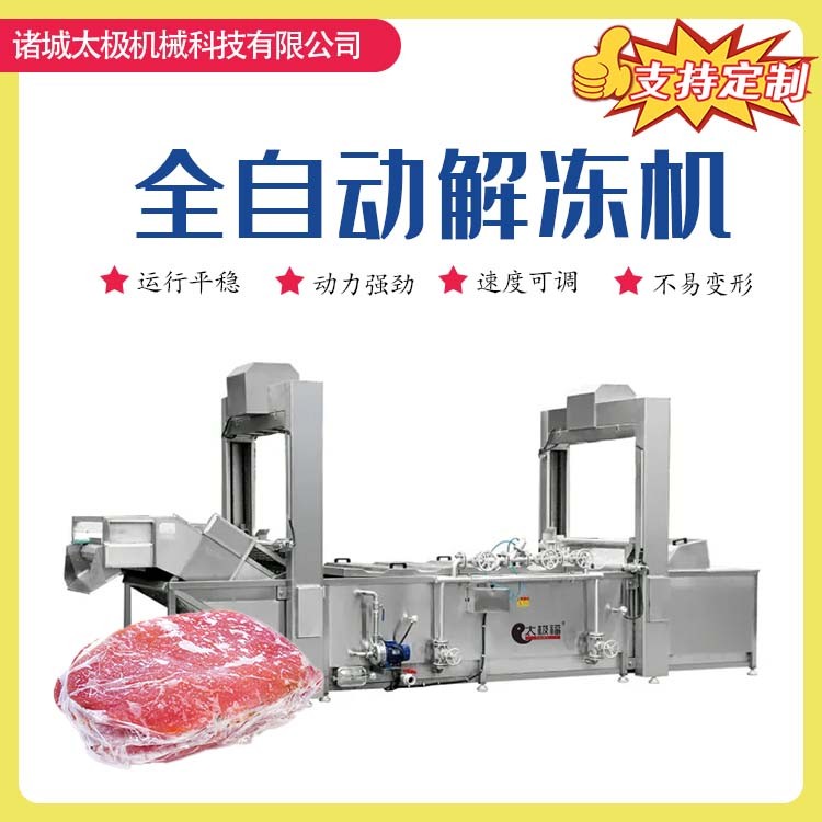 全自动不锈钢低温高湿解冻机 网带式冷冻肉类海鲜化冻设备图4