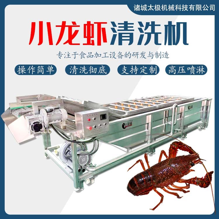 全自动果蔬气泡喷淋洗菜机 不锈钢土豆红薯清洗设备 干净迅速图4