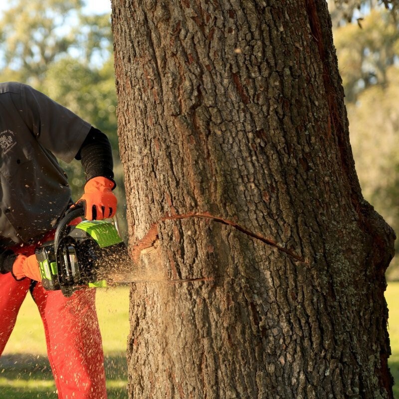 格力博 CSB401-1电锯小型手持充电电锯伐木锯锂电木工锯电链锯82V图3