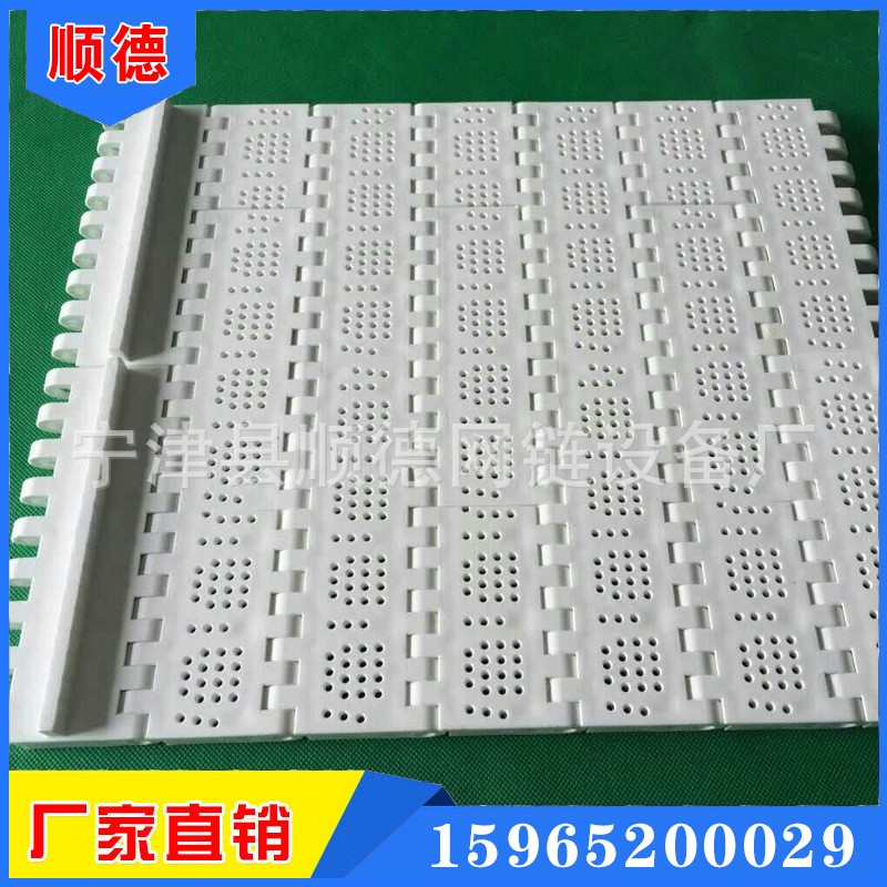 塑料链板 PP塑料输送链尼龙平顶输送链板无缝式链板工业传送链图3