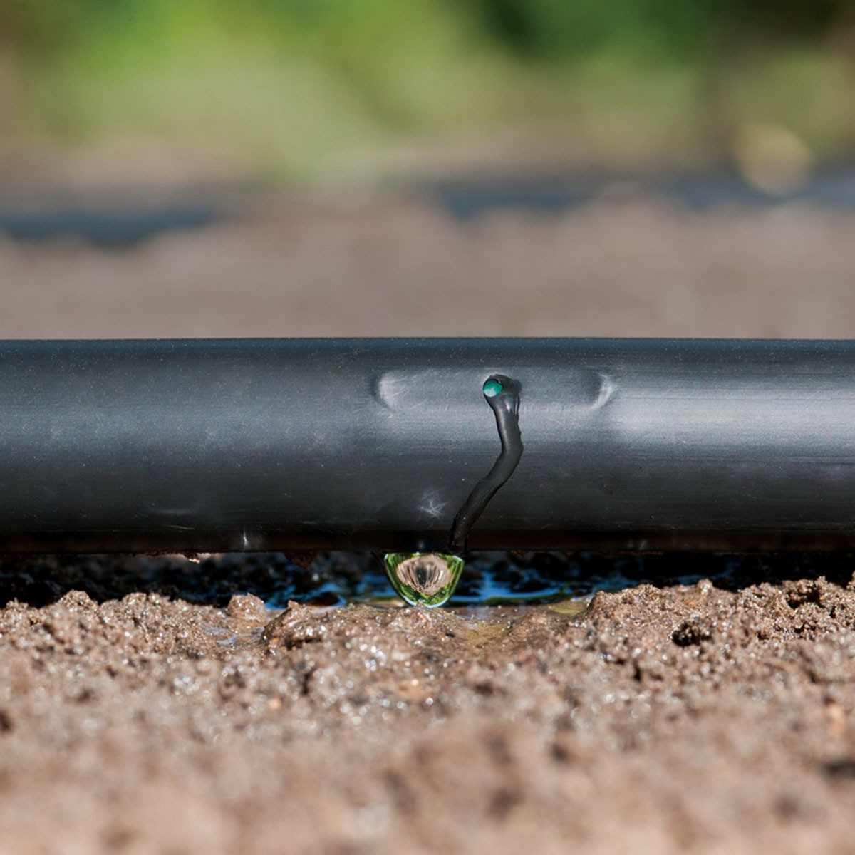 大禹 内镶贴片式滴灌带（Φ16*0.2*100）1000m/卷图4