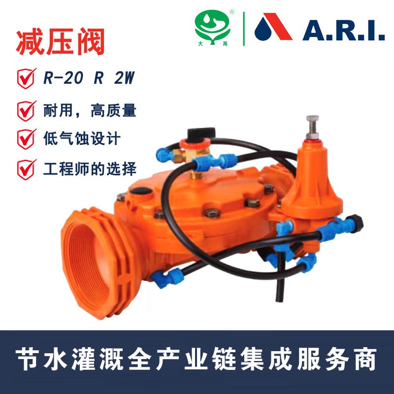 【大禹】以色列ARI 减压阀R-20 2W 灌溉电磁阀 脉冲电磁阀DN50