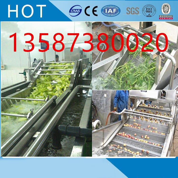 斜冲式果蔬清洗机高压水喷淋循环毛刷滚筒气泡清洗机涡流式清洗机图5