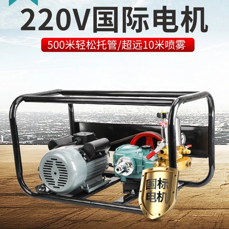 现货供应打药机 农用园林果树柴油机喷雾器电动打药机图3