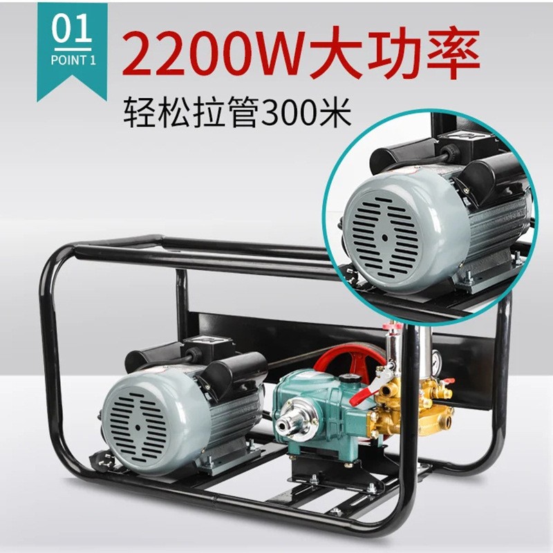 现货供应打药机 农用园林果树柴油机喷雾器电动打药机图2