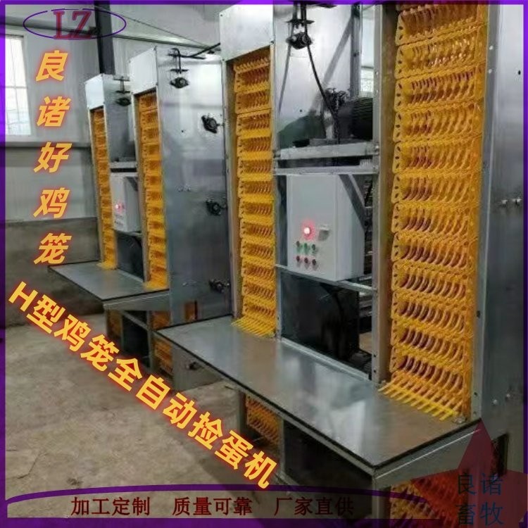 蛋鸡鸡笼 肉鸡热镀锌鸡笼子 整体热浸锌笼网 良诸自动化设备图2