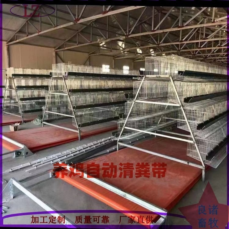 蛋鸡鸡笼 肉鸡热镀锌鸡笼子 整体热浸锌笼网 良诸自动化设备图3